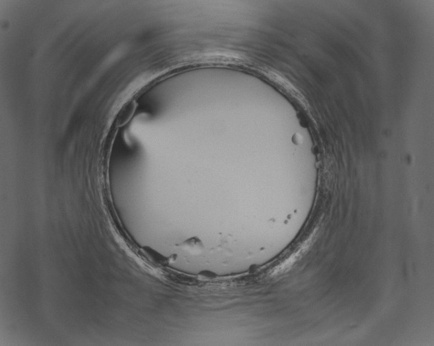 X0000067890989200605041548