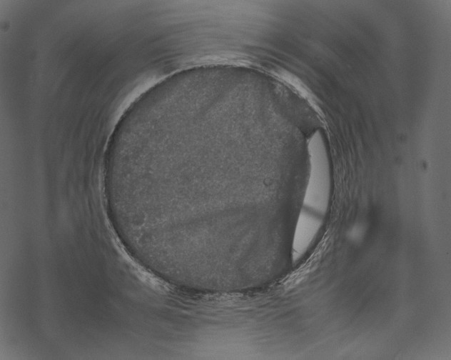 X0000067890991200605041548