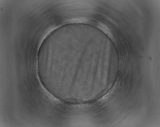 X0000067890992200605041548