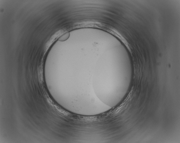 X0000067890994200605041548