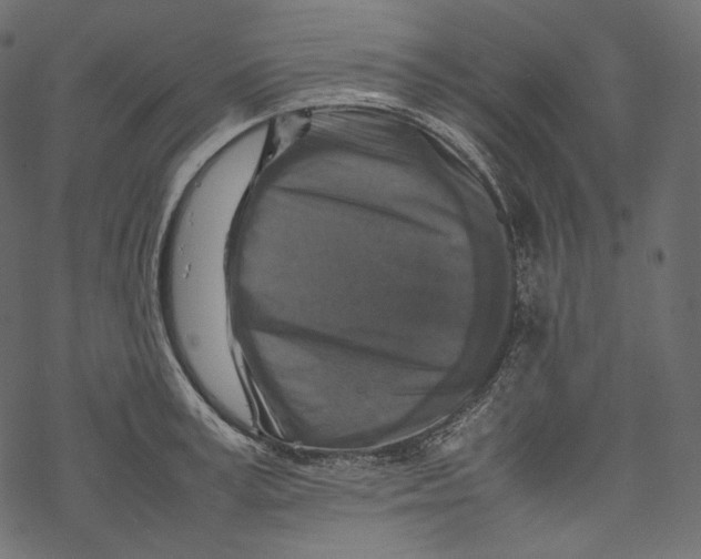 X0000067890995200605041548