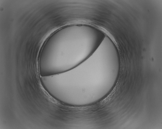 X0000067890996200605041548