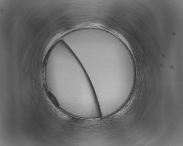 X0000067890997200605041548