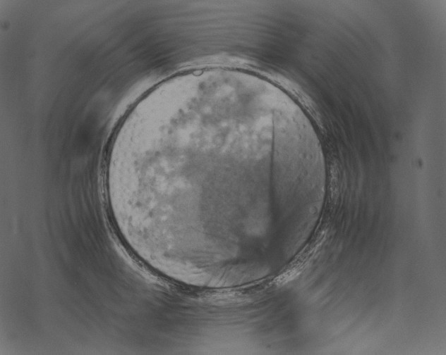 X0000067890998200605041548