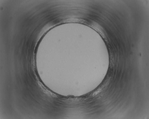 X0000067891000200605041548