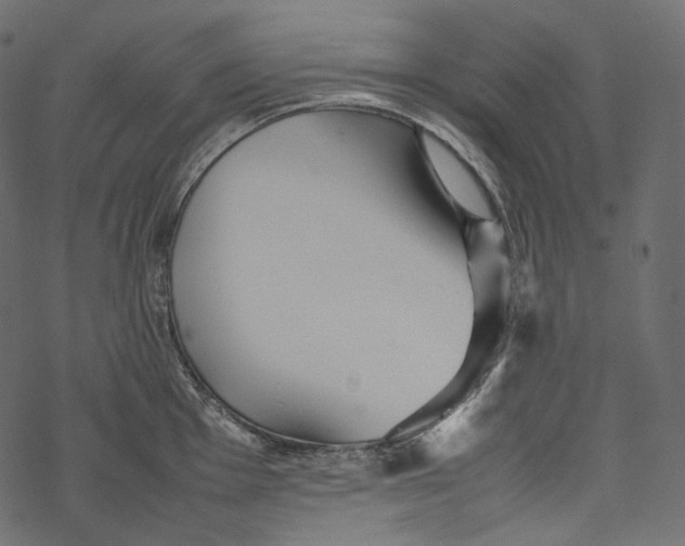 X0000067891001200605041548