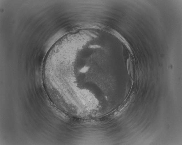 X0000067891002200605041548