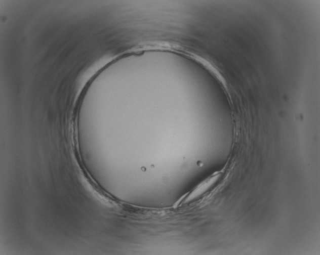 X0000067891003200605041548