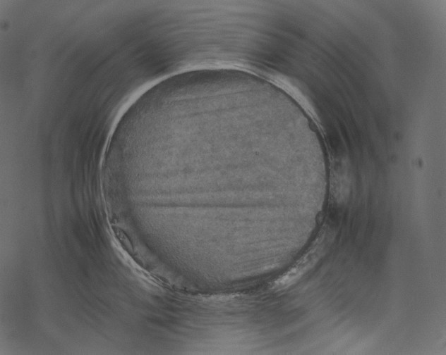 X0000067891004200605041547