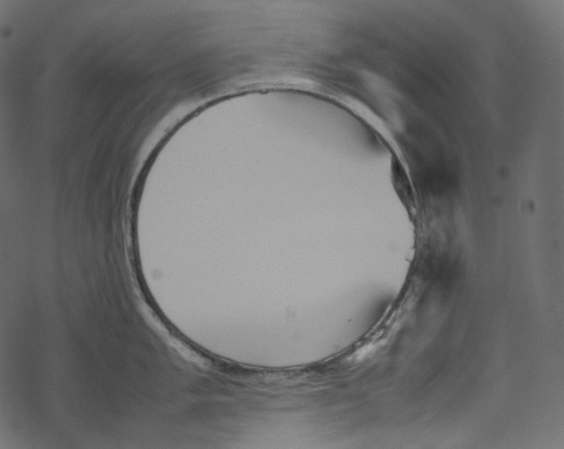 X0000067891005200605041547