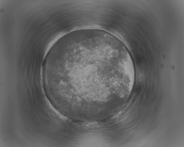 X0000067891006200605041547