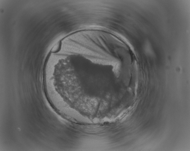 X0000067891007200605041547