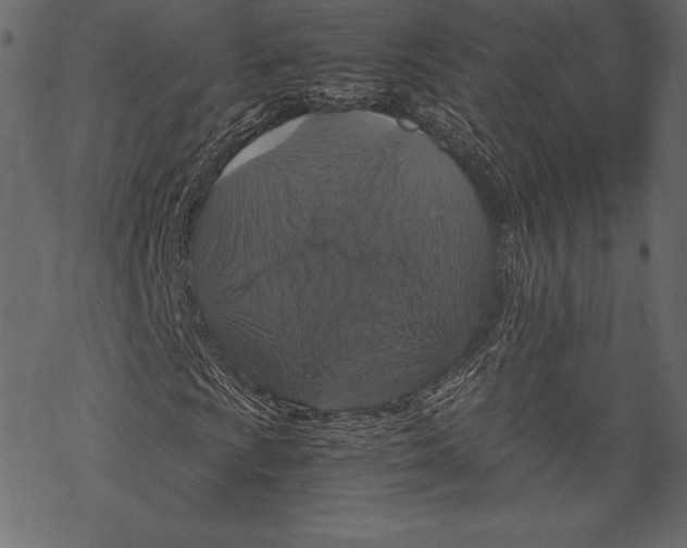 X0000067891009200605041547