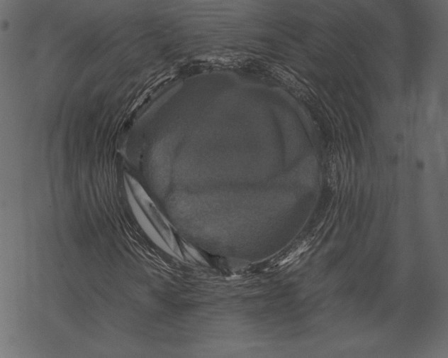 X0000067891010200605041547