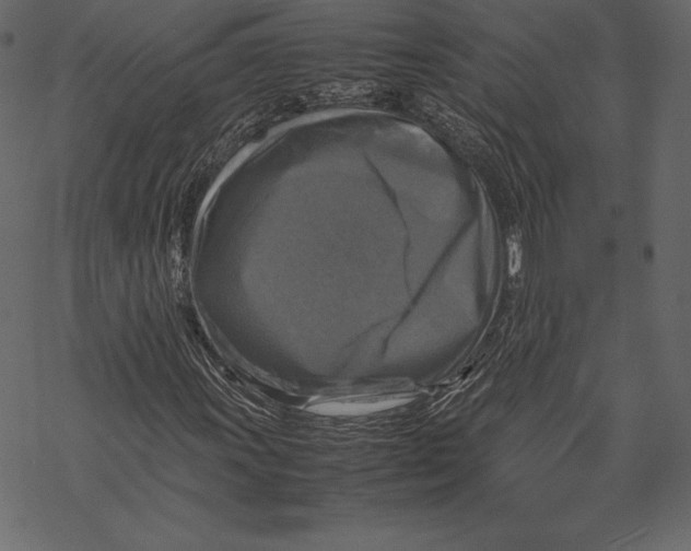 X0000067891011200605041547