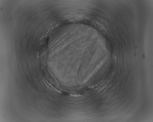 X0000067891012200605041547