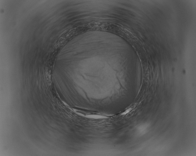 X0000067891013200605041547