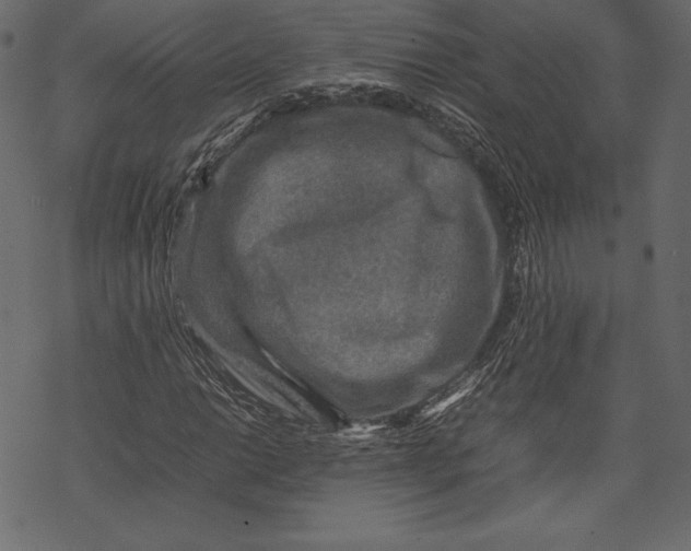 X0000067891014200605041547