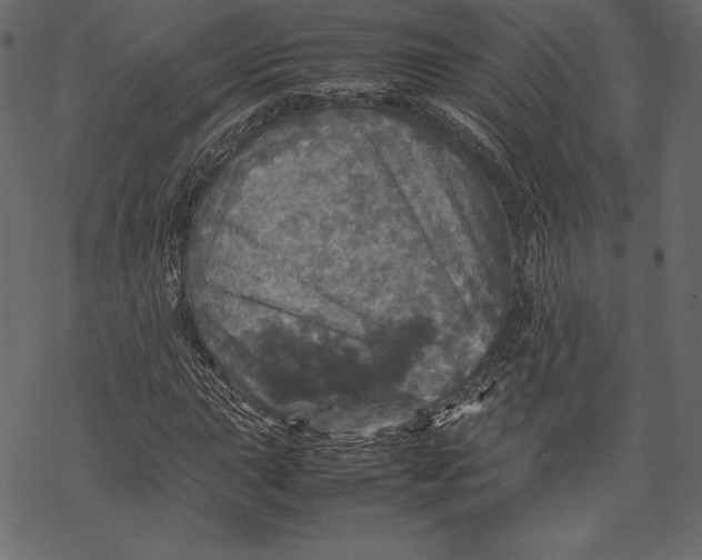 X0000067891015200605041547