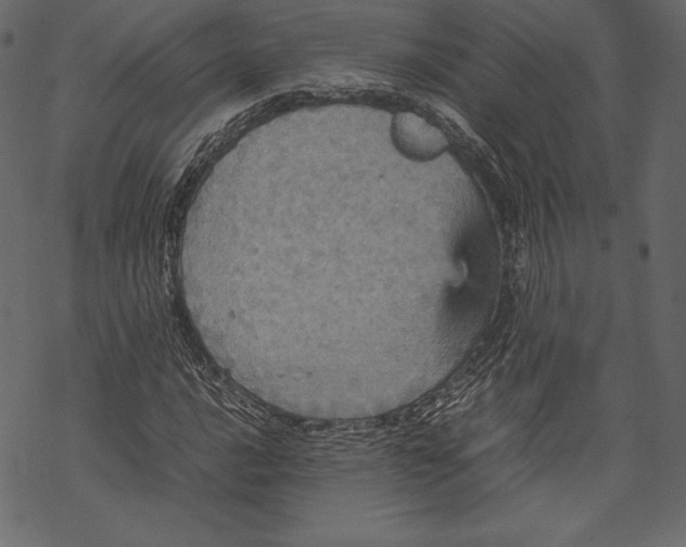 X0000067891016200605041547