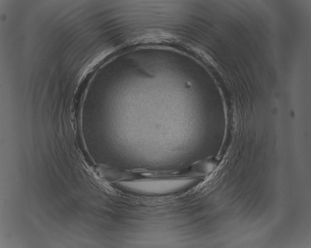 X0000067891018200605041547