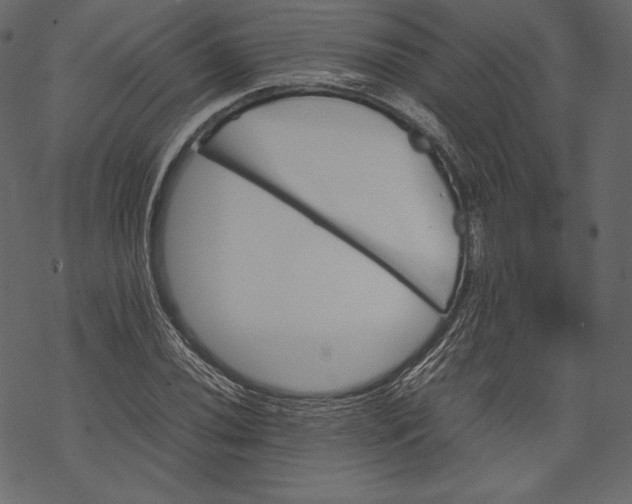 X0000067891020200605041547