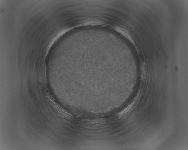 X0000067891021200605041547