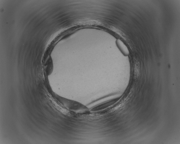 X0000067891022200605041547