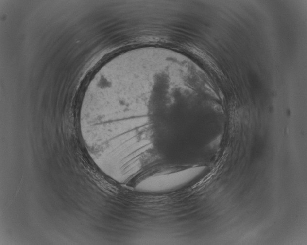 X0000067891023200605041547