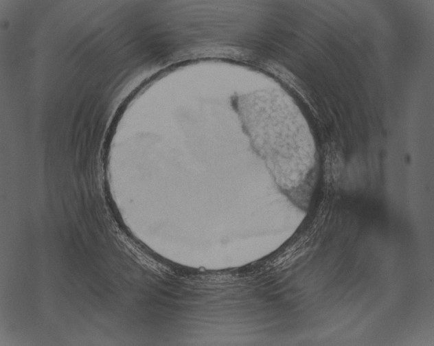 X0000067891024200605041547