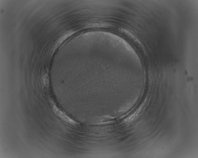 X0000067891025200605041547