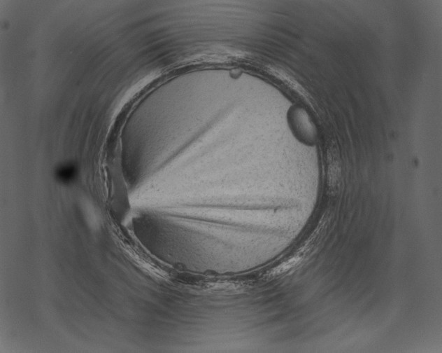 X0000067891026200605041547