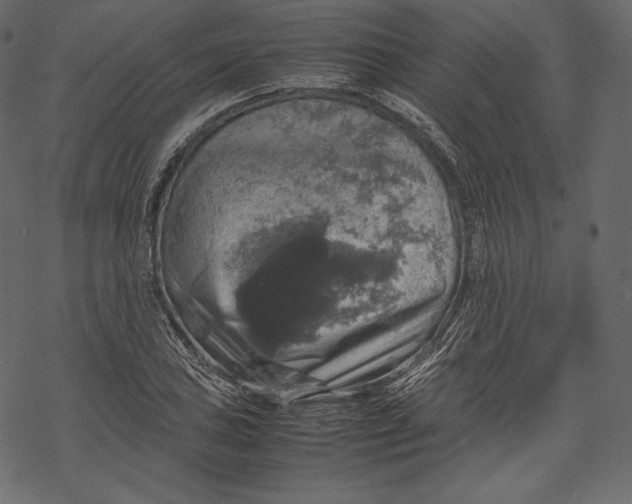 X0000067891027200605041547