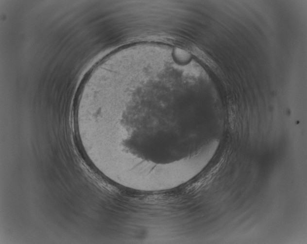 X0000067891028200605041547