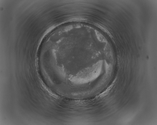 X0000067891029200605041547