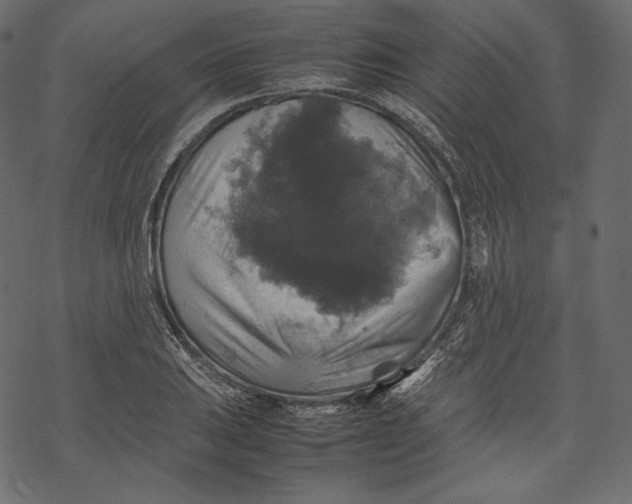 X0000067891031200605041547