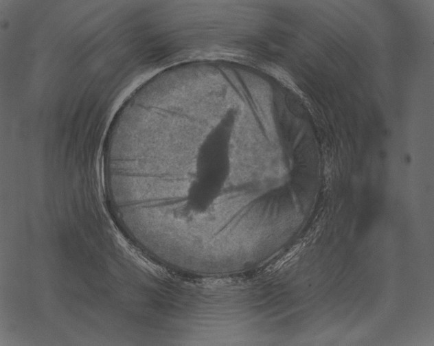 X0000067891032200605041547