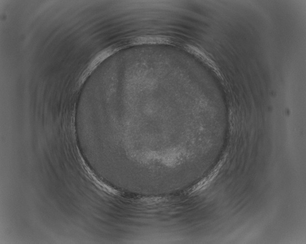 X0000067891033200605041547