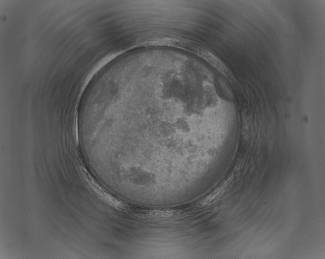 X0000067891036200605041547