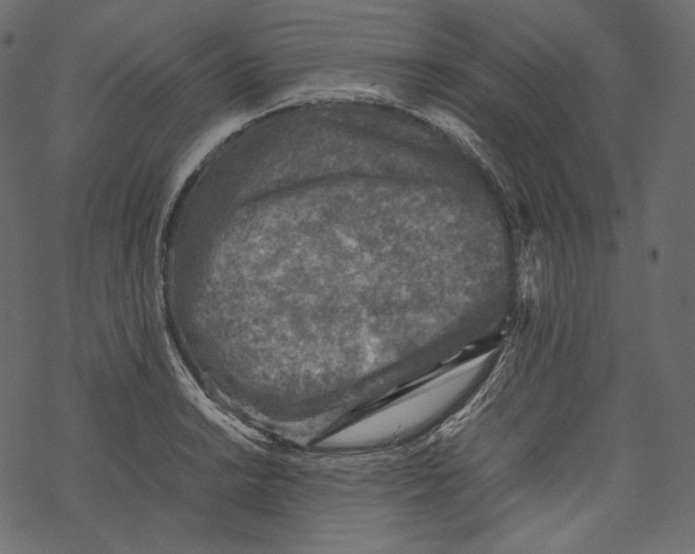 X0000067891038200605041547