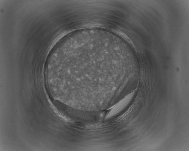 X0000067891039200605041547