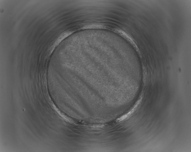 X0000067891041200605041547