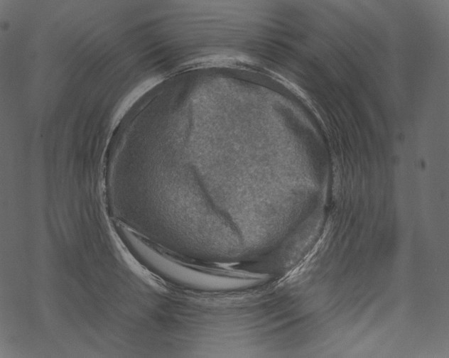 X0000067891042200605041547