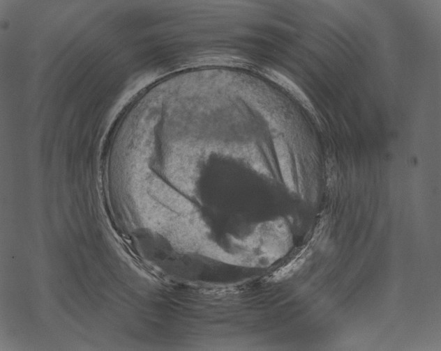 X0000067891043200605041547