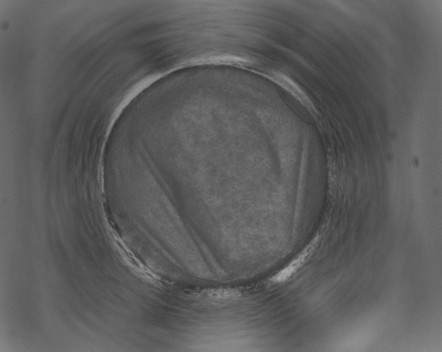 X0000067891044200605041547