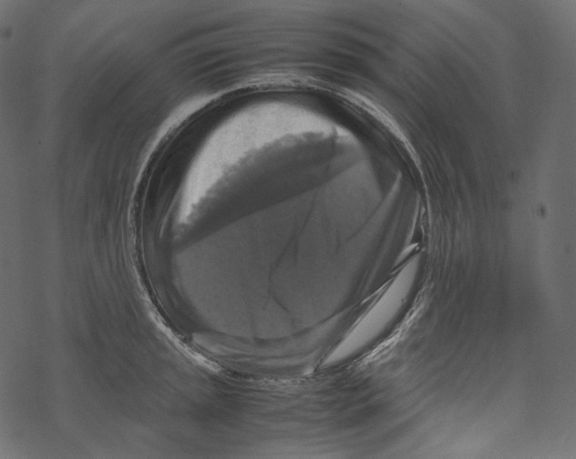 X0000067891045200605041547