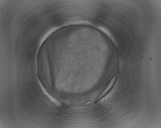 X0000067891046200605041547