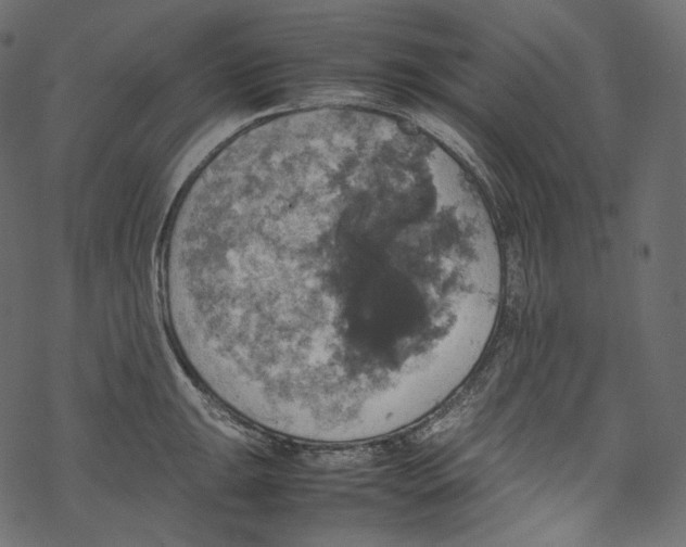 X0000067891047200605041547