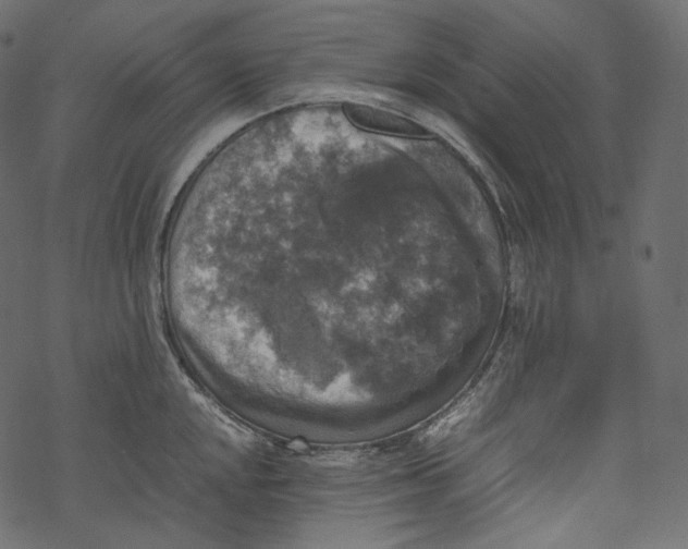 X0000067891048200605041547