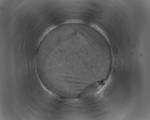 X0000067891049200605041547